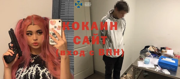 ECSTASY Горняк