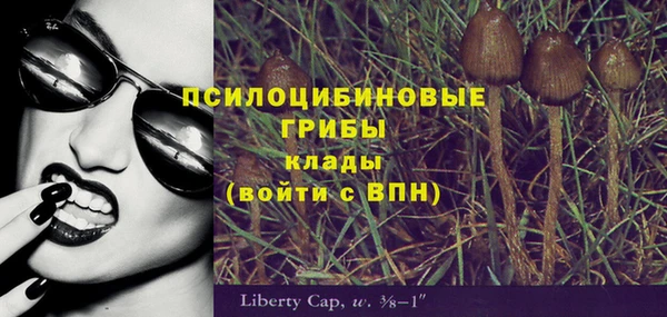 не бодяженный Кинешма