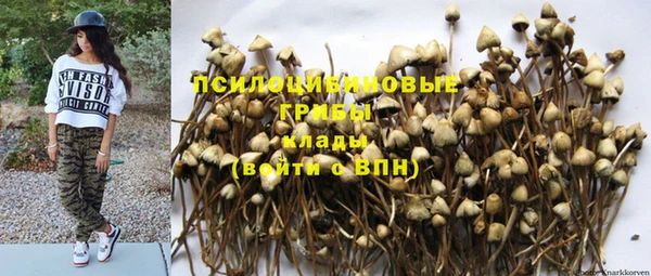 гидра Горнозаводск