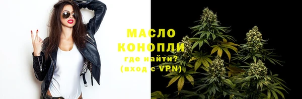 гидра Горнозаводск