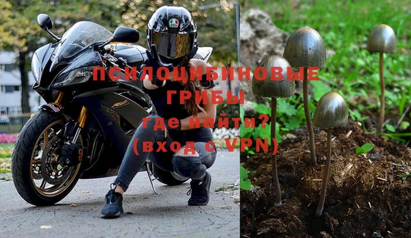 гидра Горнозаводск