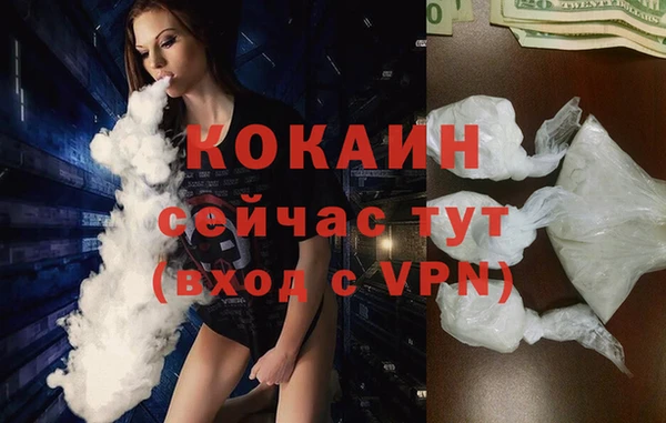 гидра Горнозаводск