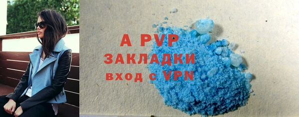 ECSTASY Горняк