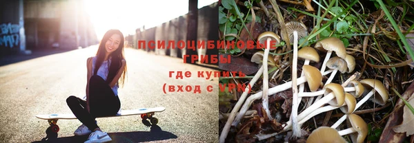 ECSTASY Горняк