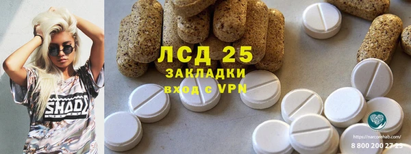 ECSTASY Горняк