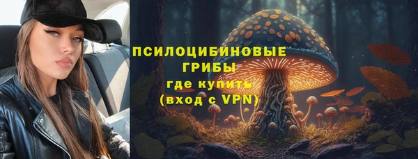 гидра Горнозаводск