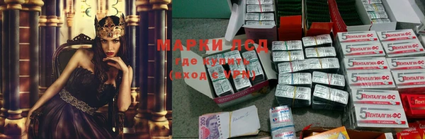 гидра Горнозаводск