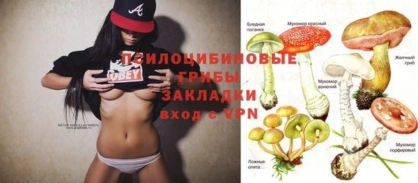 ECSTASY Горняк