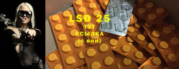ECSTASY Горняк