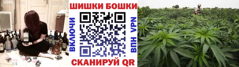 Шишки марихуана ГИДРОПОН  как найти наркотики  Заозёрный 